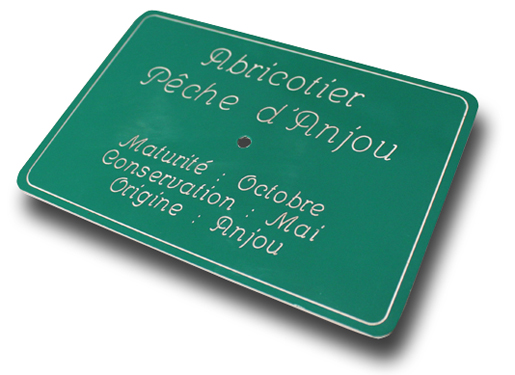 Plaque d'identification d'arbre