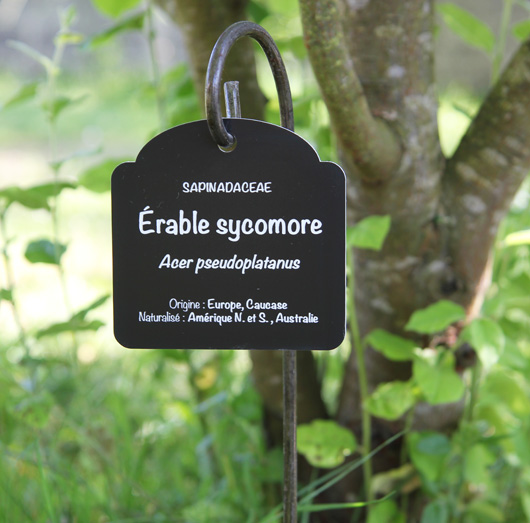 Créateur de pupitre touristique, commémoratif et plaque arboretum.