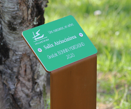 une naissance un arbre