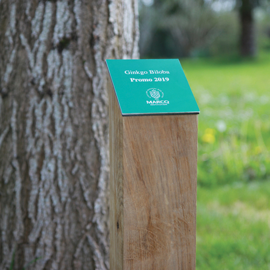 plaque arboretum gravée