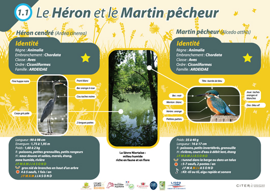 Plaque heron sentier