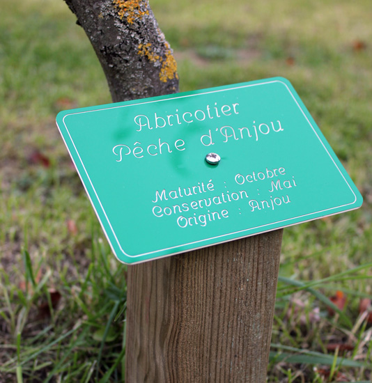 PLAQUE ARBORETUM GRAVEE
