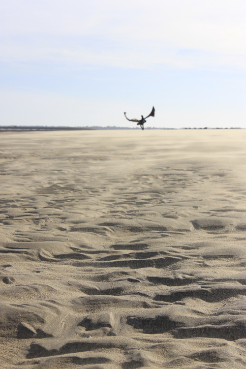 photo kite surf