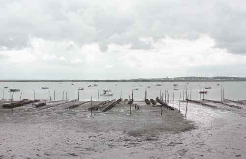 photo bassin arcachon