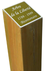 arbre de la liberté